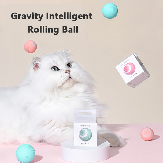 ForFurFriends™  Interactive Ball