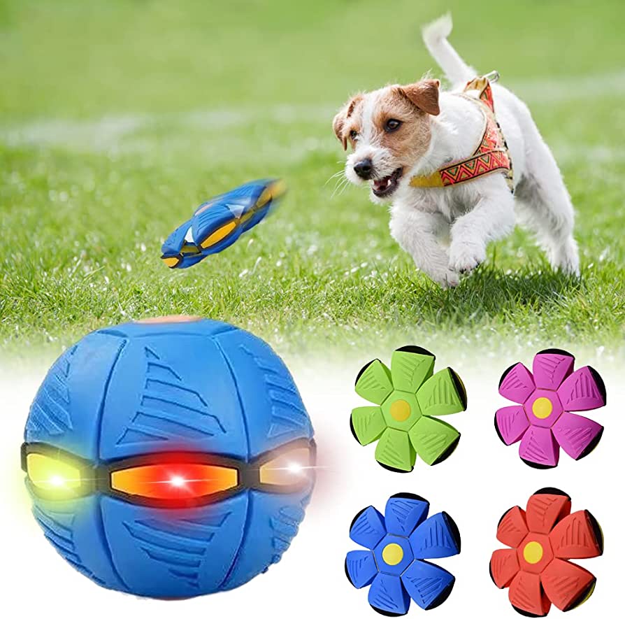 ForFurFriends™ Dog Frisbee