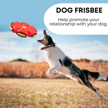 ForFurFriends™ Dog Frisbee